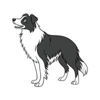 Charming Border Collie Design vector