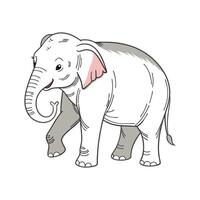 Adorable Borneo Pygmy Elephant Graphic vector