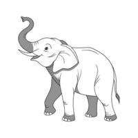 Borneo Pygmy Elephant on White Background vector