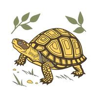 Adorable Box Turtle Graphic vector