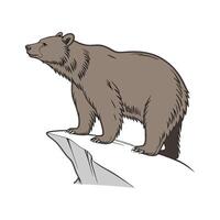 Adorable Brown Bear Graphic vector