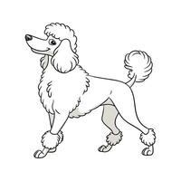 Charming Caniche Design vector