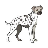 Charming Catahoula Leopard Dog Design vector