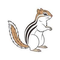 Chipmunk on White Background vector