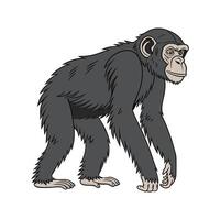 Charming Chimpanzee Design vector