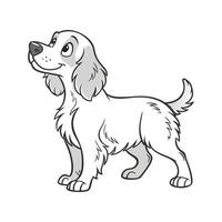 Cocker Spaniel on White Background vector