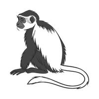 Charming Colobus Monkey Design vector