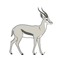 Common Antelope on White Background vector