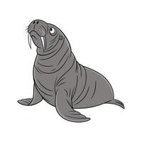 Common Elephant Seal on White vector