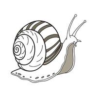 Charming Common Garden Snail Design vector