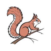 Charming Common Squirrel Design vector