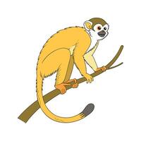 Common Squirrel Monkey on White vector