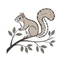 Adorable Common Squirrel Graphic vector