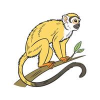 Adorable Common Squirrel Monkey Graphic vector
