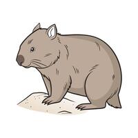 Charming Common Wombat Design vector