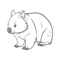 Stylish Common Wombat Illustration vector