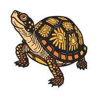 Charming Eastern Box Turtle on White Surface vector