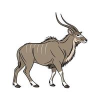 Charming Eland Posed on Clean Canvas vector