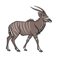 Majestic Eland Standing on Clean Background vector