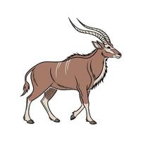 Charming Eland on Clean White Surface vector