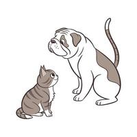Charming Bulldog with Manx Cat on White Canvas vector