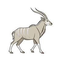 Eland Captured Elegantly on White Background vector