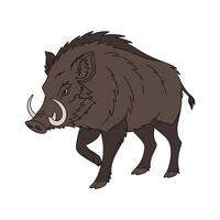 Dynamic European Boar on White Background vector