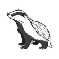 Charming European Badger on Clean Canvas vector
