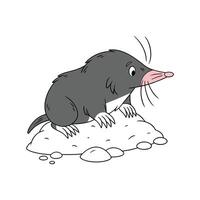 Intriguing European Mole on White Background vector