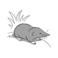 Charming European Mole on Clean Surface vector