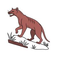 Fascinating Fossa on White Background vector