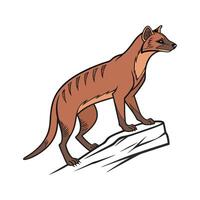 Beautiful Fossa Displayed on a White Surface vector