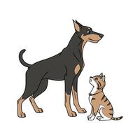 Charming German Pinscher with Manx Cat on White Background vector