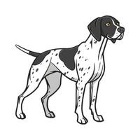 Dynamic German Shorthaired Pointer on Clean Background vector