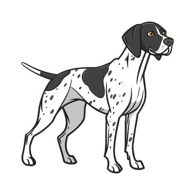 Dynamic German Shorthaired Pointer on Clean Background