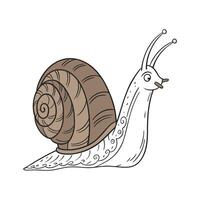 Elegant Giant African Snail on White Surface vector