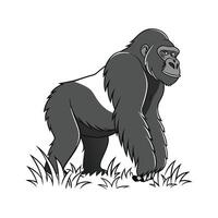 Gorilla Displayed Gracefully on White Surface vector