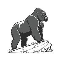 Imposing Gorilla on White Background vector