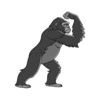 Graceful Gorilla Posed on White Background vector