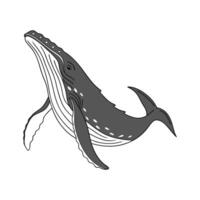 Majestic Gray Whale Posed on Clean Canvas vector