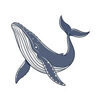 Impressive Gray Whale Against White Background vector