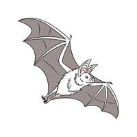 Charming Greater Horseshoe Bat Displayed on Clean Background vector