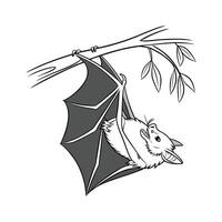 Fascinating Greater Horseshoe Bat on White Surface vector