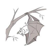 Intriguing Greater Horseshoe Bat Against White Background vector