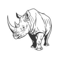 Majestic Greater OneHorned Rhino on Clean Background vector