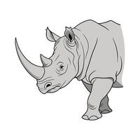 Majestic Greater OneHorned Rhino on White Background vector