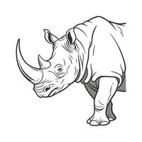 Charming Greater OneHorned Rhino Posed on White Background vector