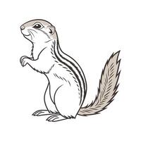 Adorable Ground Squirrel Posed on Clean Background vector