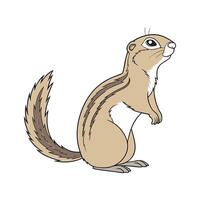 Dynamic Ground Squirrel on White Background vector