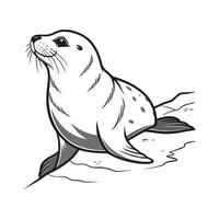 Lovely Harp Seal on White Background vector
